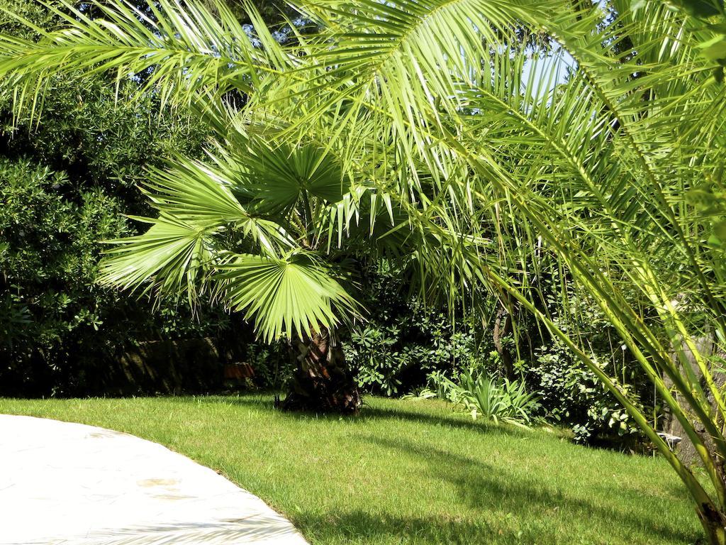 Appartement Dans Villa St Raphael Saint-Raphael  Bilik gambar