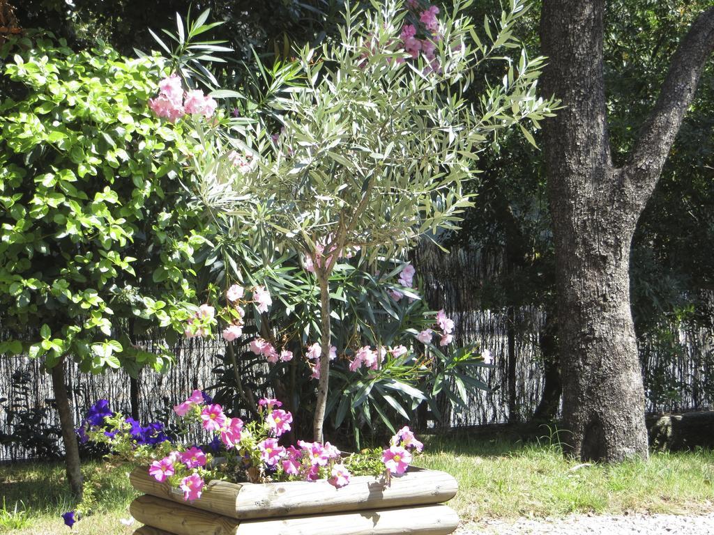 Appartement Dans Villa St Raphael Saint-Raphael  Bilik gambar