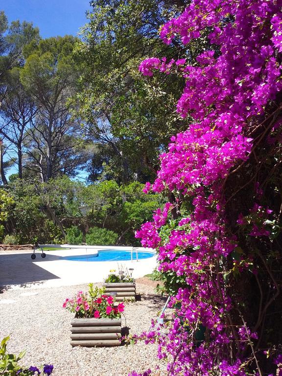 Appartement Dans Villa St Raphael Saint-Raphael  Luaran gambar